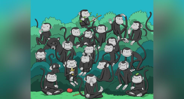 Spot the bear lurking among the monkeys in 5 seconds and test your visual skills with this challenge