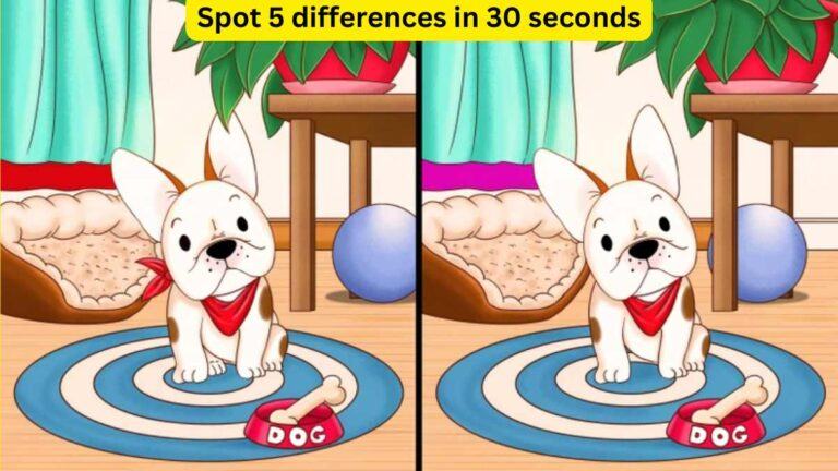 Spot the difference- Spot 5 differences in 30 seconds