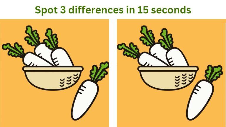 Spot the difference- Spot 3 differences in 15 seconds