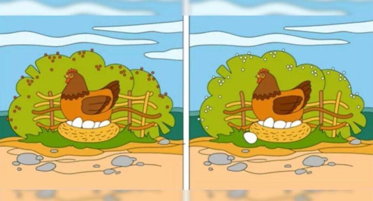 Test your visual skills in this viral challenge and find all the differences