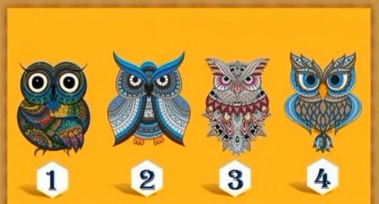Visual Check: Pick one of the owls and find out which interests cause you conflict