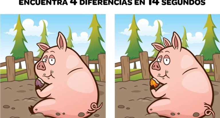 Visual challenge: Find 4 differences between pig pictures in 14 seconds