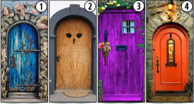 Visual check: choose a door and you will know if the life path you have chosen is right for you