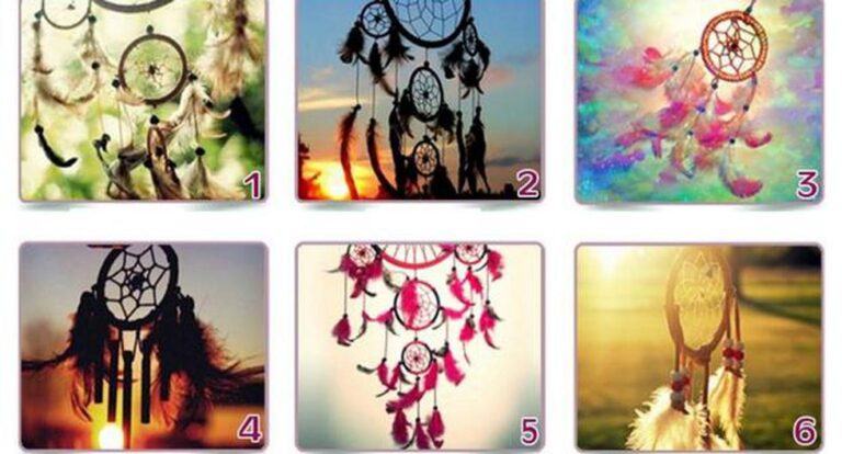 Visual check: choose one of the dream catchers and find out if your path to the future is smooth