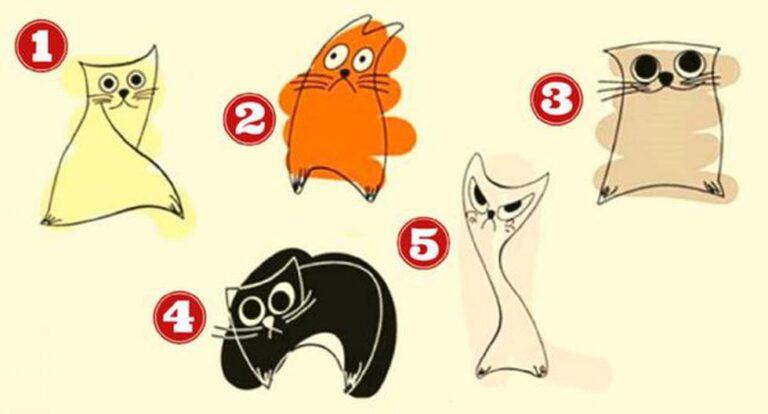 Visual check: the cat you choose from among the five will reveal what makes you stand out the most