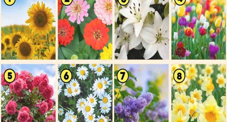 Visual test: choose a flower and it will reveal your hidden personality traits