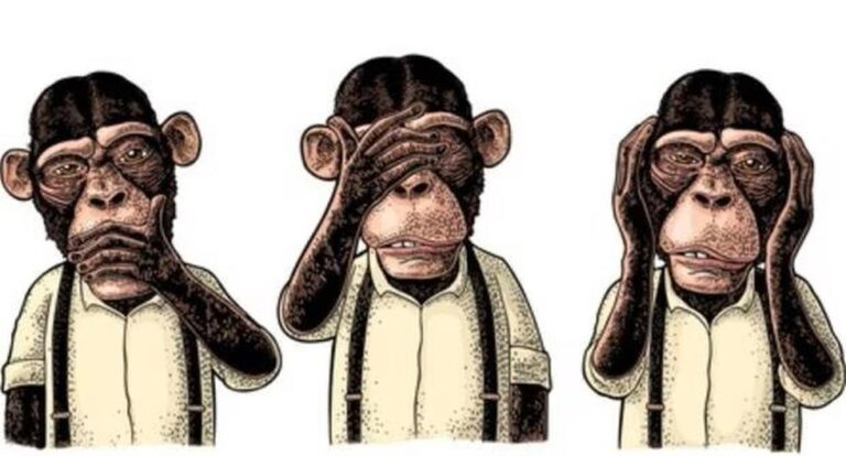 Visual test: choose one of three strange monkeys and discover how smart you are