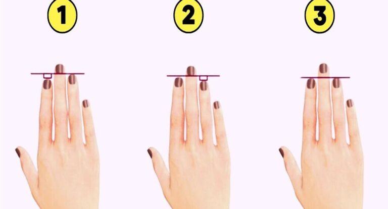 Visual test: finger size reveals your personality
