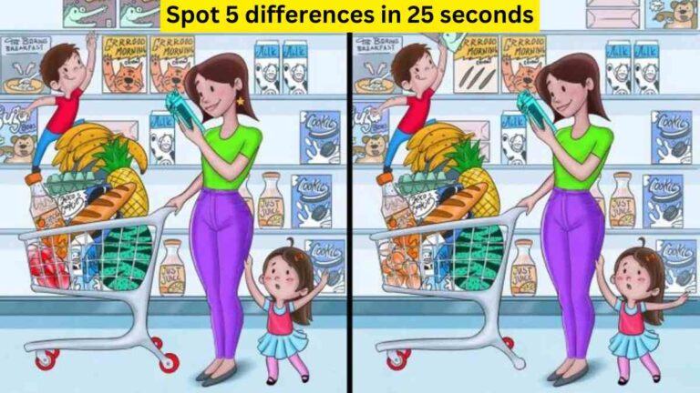 Spot the difference- Spot 5 differences in 25 seconds