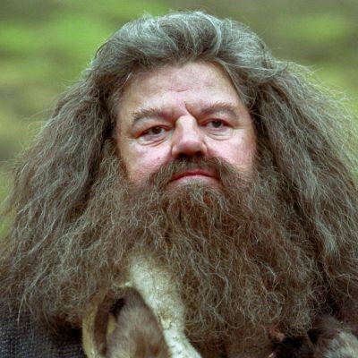 5 Unforgettable Rubeus Hagrid Scenes On “Harry Potter”