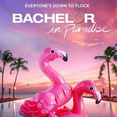 “Bachelor In Paradise” Season 8 Is Set To Be Released On ABC Channel Soon