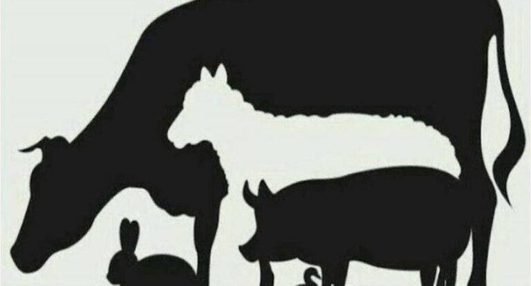 Based on the number of animals you see, find out who will betray you
