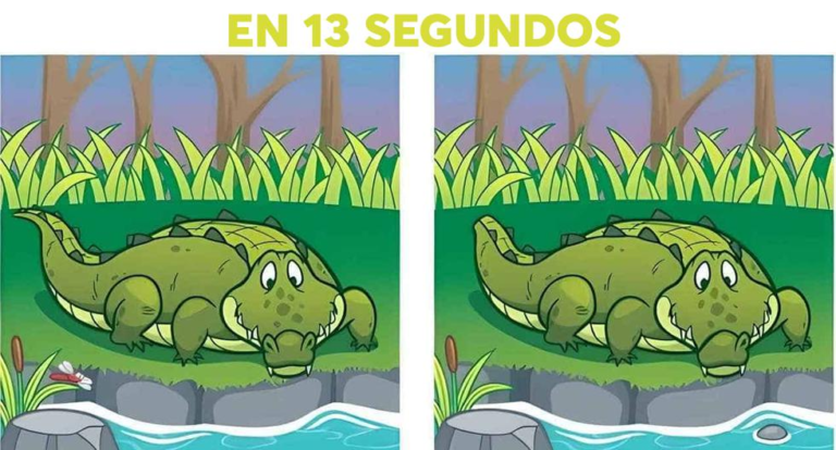Can you find 5 differences in just 13 seconds?