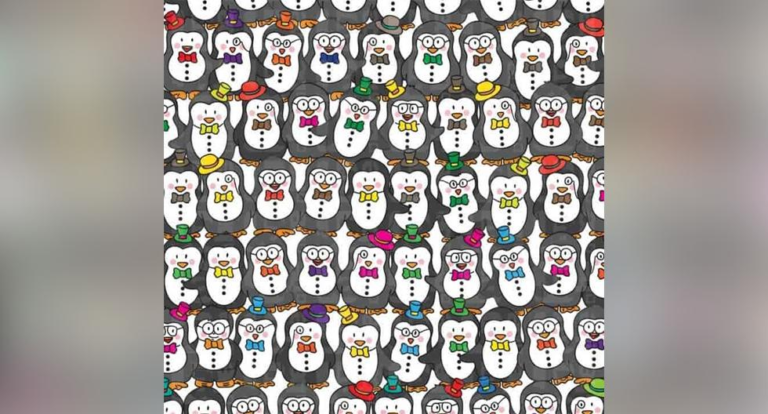 Can you find the doll hidden among the penguins?  Show off your visual skills!
