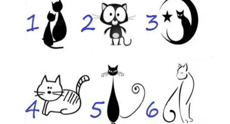 Choose a cat from the picture and you will get accurate information about its personality