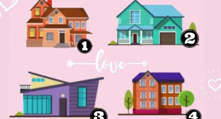 Choose the house you want to live in and you'll know what kind of partner you need