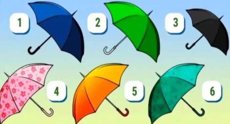 Choose your favorite umbrella and you will get information about your lifestyle
