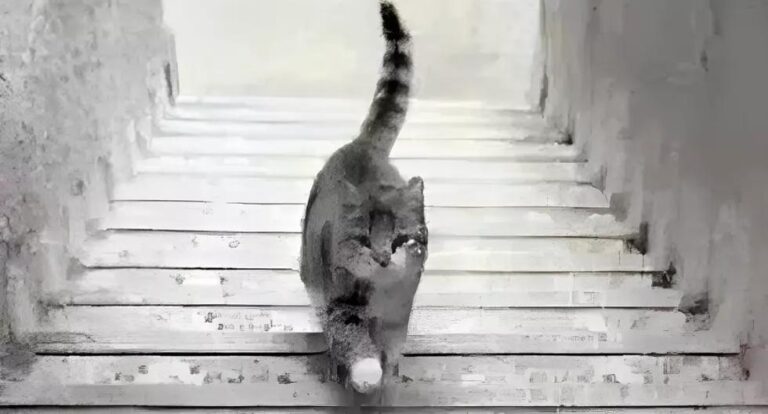 Find out if you're a genius by telling us whether the cat goes up or down the stairs