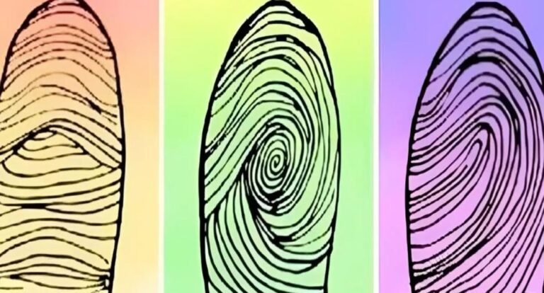 Fingerprint shape reveals whether you are calm or explosive
