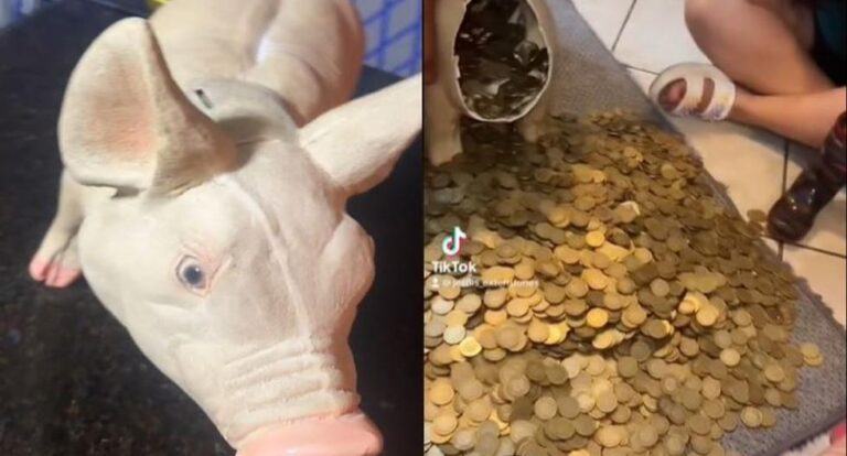 He had saved for two years, and when he opened the piggy bank, he discovered that he had more than 19 thousand dollars.
