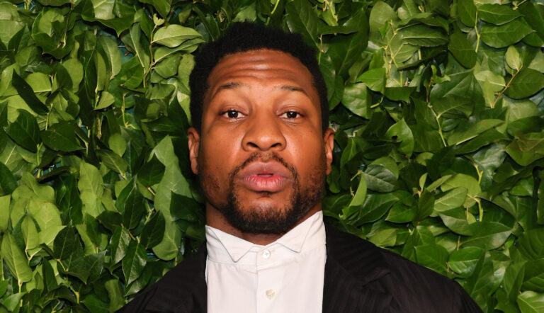 Jonathan Majors’ lawyer affirms that he was assaulted while responding to the protection order of the alleged victim