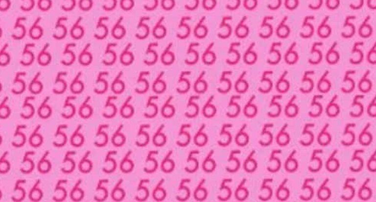 Need to find number 65 in 8 seconds: only 3% pass this viral challenge