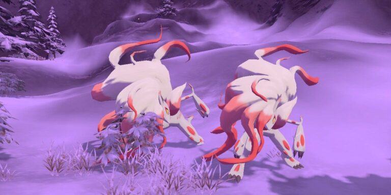 Two Hisuian Zoroark on a snowy mountain in Pokémon Legends: Arceus