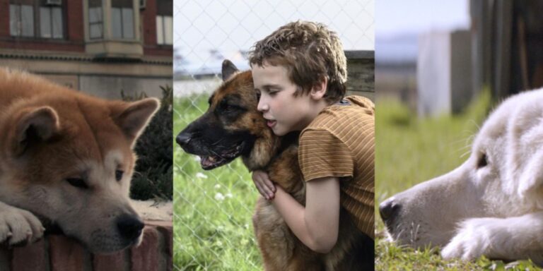 Rescued By Ruby, And 9 Other Dog Films Based On A True Story