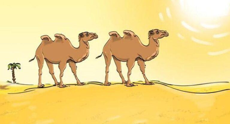 Solve this seven-second visual challenge: Camels Viral has a bug, fix it