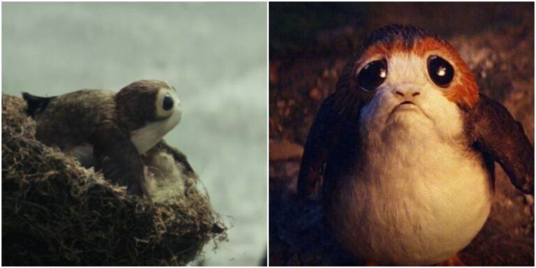 porgs in star wars