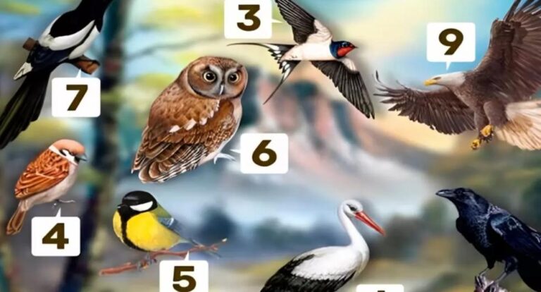The bird you choose in the picture will determine how your friends see you