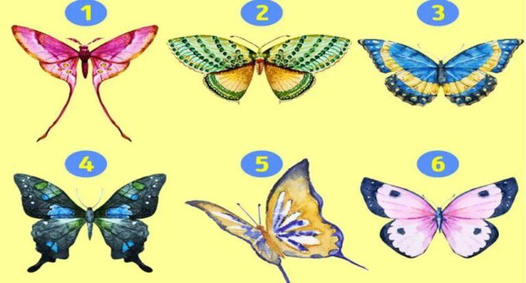 The hidden aspects of your personality will be revealed, depending on the butterfly you choose.