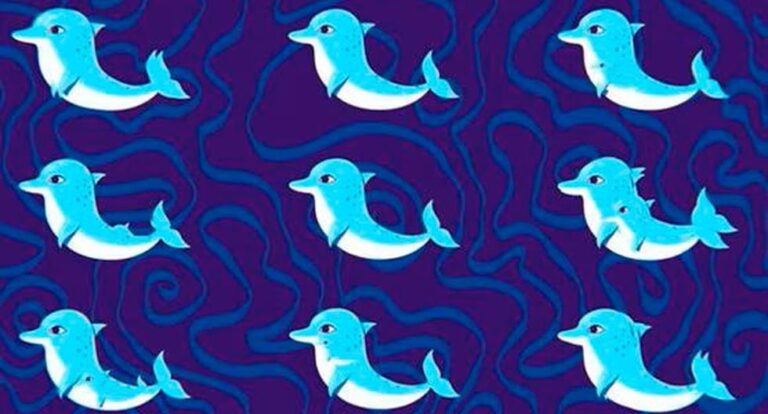 Visual test: find out what your mind is hiding with the number of dolphins you can count