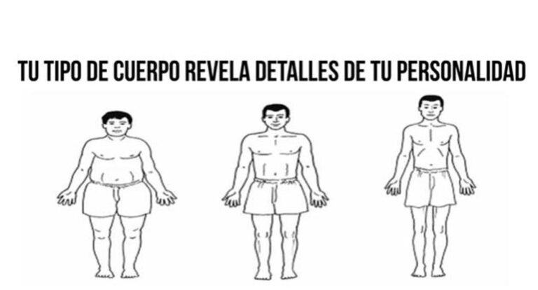 Your body type will reveal impressive features of your personality