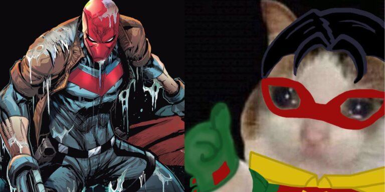 Batman: 10 Memes That Perfectly Sum Up Red Hood