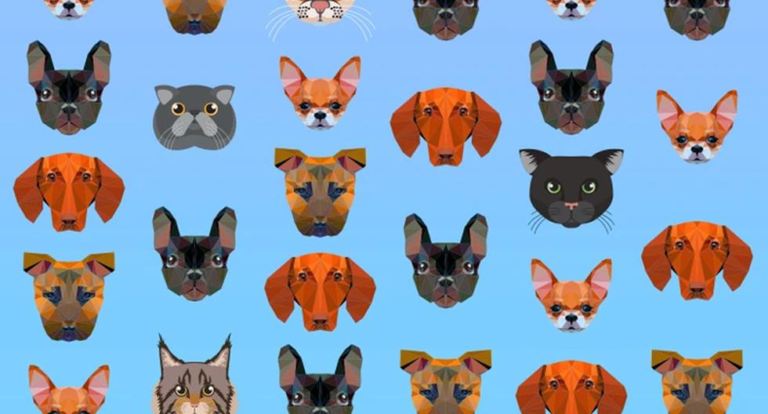 Can you count the cats in the picture in just 15 seconds?