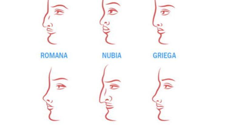 Do you have a Greek, Roman or Nubian nose?  The shape of your nose reveals whether you are sincere or not