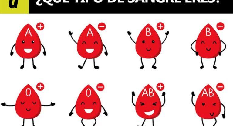 Do you have blood type A, B, AB or O?  Your blood type says a lot about what you imagine