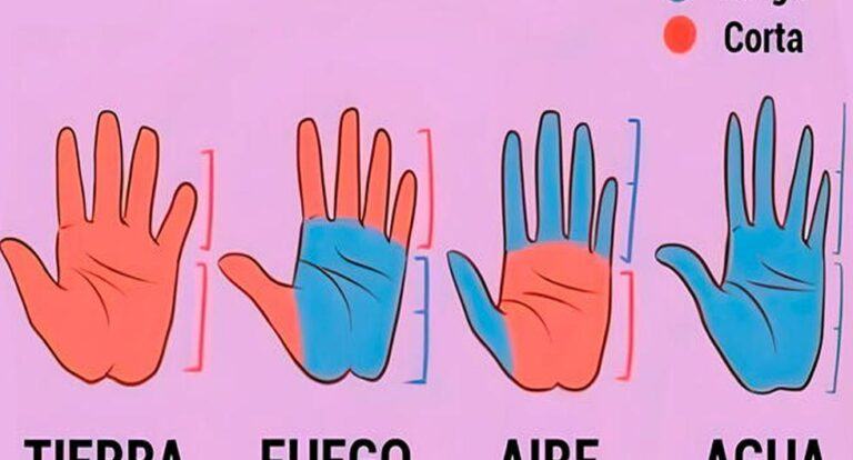 Do you have hands of earth, fire or air?  The shape of your hand reveals your personality