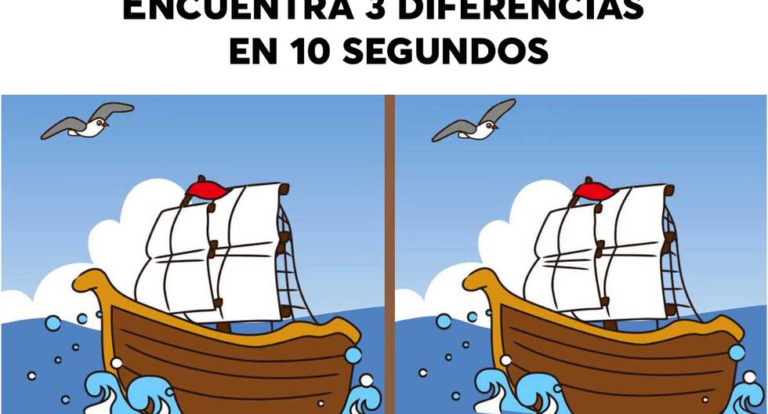 Find 3 differences between two ships sailing on the sea in just 10 seconds