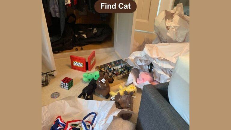 Optical Illusion Visual Skill Challenge: Find the cat in the room in 8 seconds