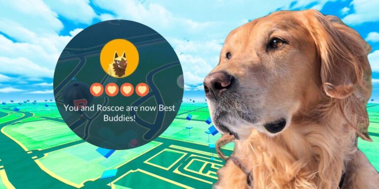 Pokémon GO Shiny Poochyena Gift Honors Memory of Player's Deceased Dog