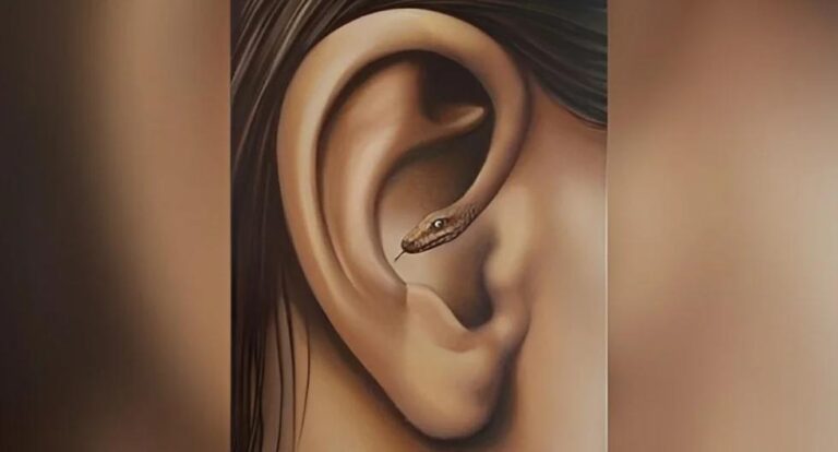Snakes or ears?  The first thing you see will reveal how shy you are
