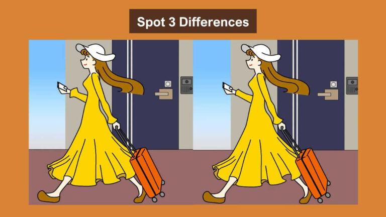 Spot 3 differences between the lady with the trolley bag pictures within 12 seconds