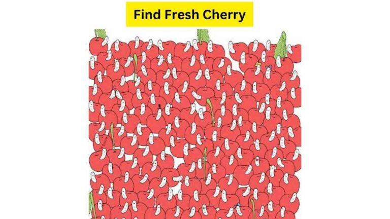 Fresh Cherries vs. the Rotten Cherries"