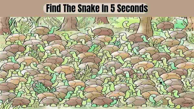 Find The Snake In 5 Seconds