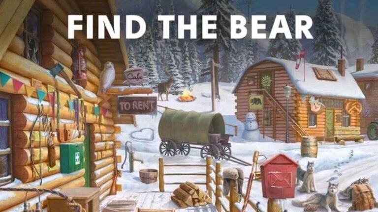 Spot the bear in 5 seconds!
