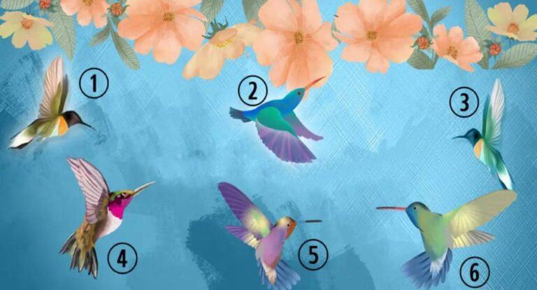 Your favorite hummingbird in the photo will allow you to get to know yourself well