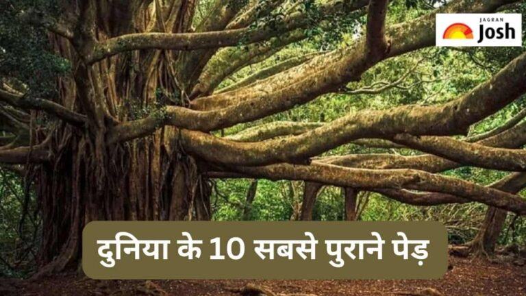 10 सबसे पुराने पेड़