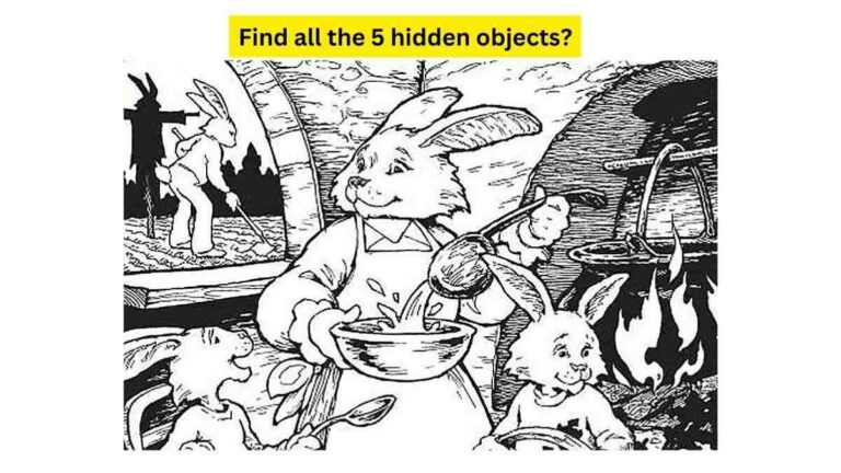 How many hidden objects do you see here?